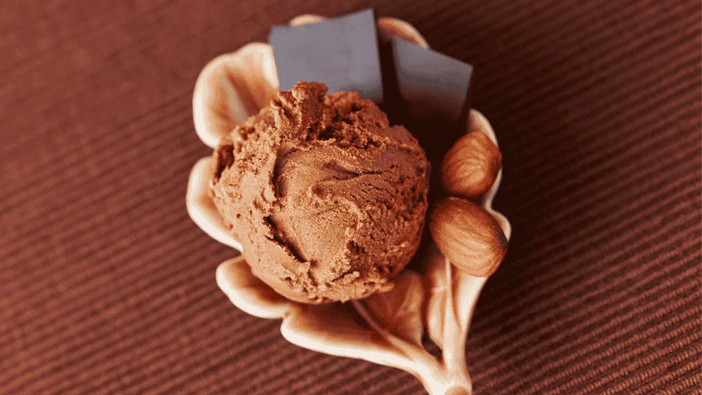 Almond Milk Chocolate Ice Cream