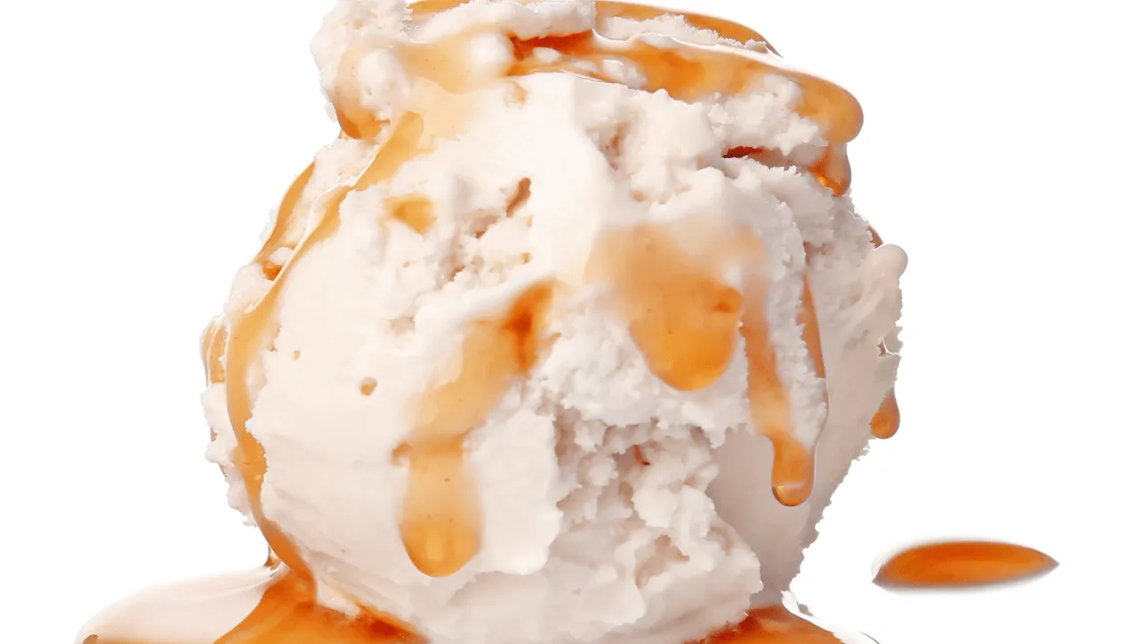 Homemade Soy Ice Cream