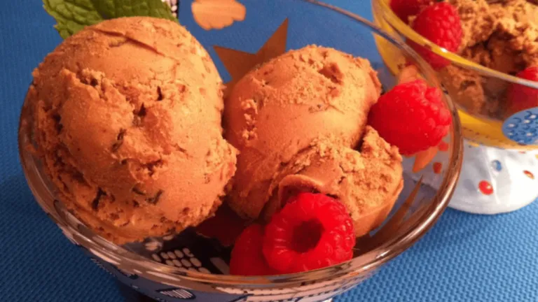 Chocolate Peanut Butter Ice Cream Recipe
