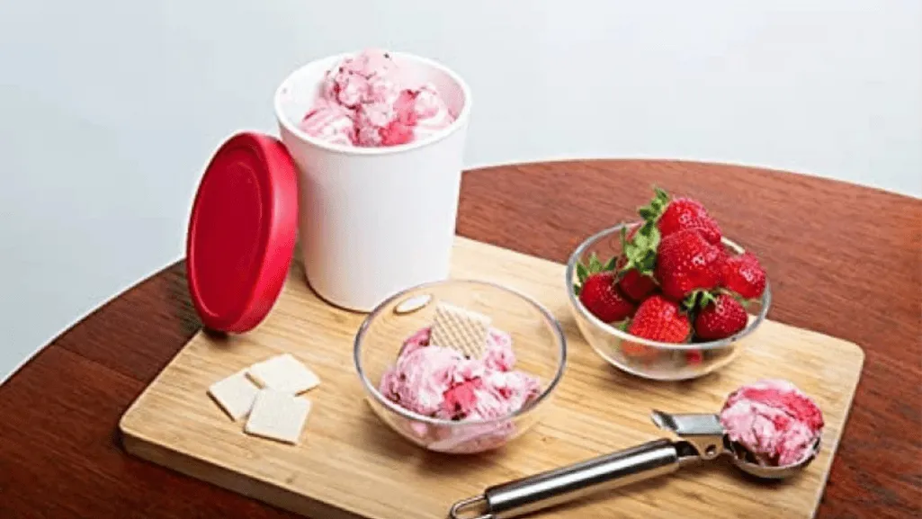 reusable ice cream tubs for frozen desserts