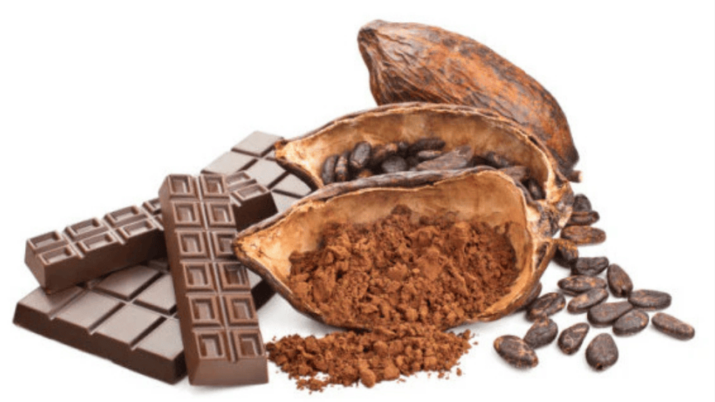 Aztec Empire Who Truly Elevated Chocolate