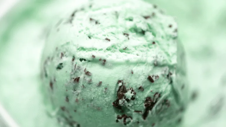 Choc Choc Chip Ice Cream Your Ultimate Treat 16 Choc Choc Chip Ice Cream