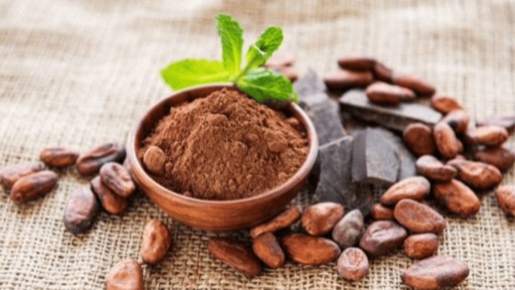 Chocolate's Journey to Europe