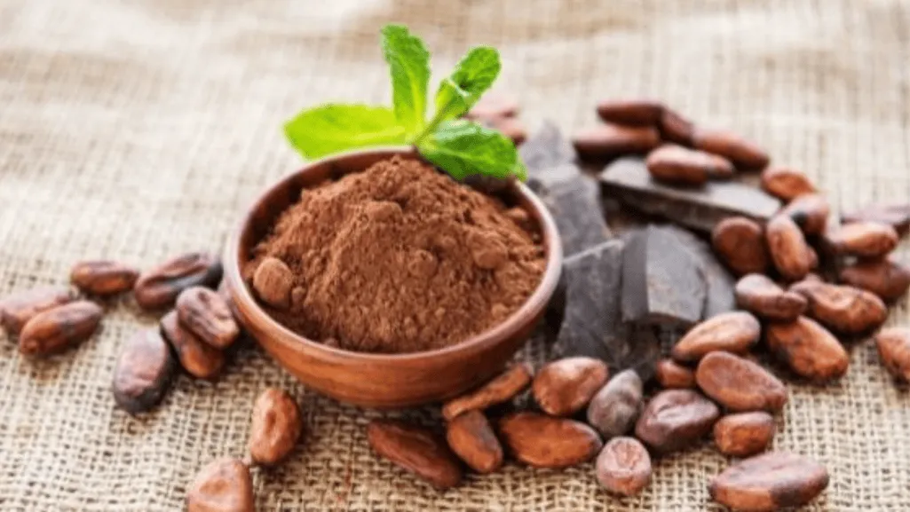 Chocolate's Journey to Europe