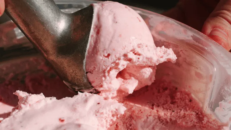 Food Processor Ice Cream