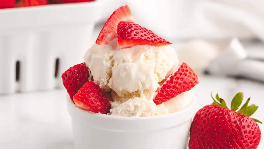Homemade 1 Quart Ice Cream Recipes to Try