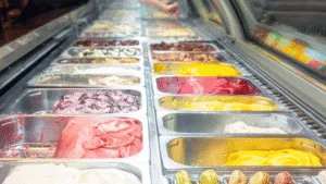 Ice Cream Freezers