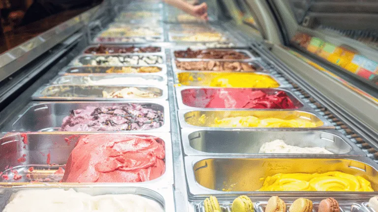 Ice Cream Freezers