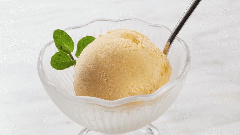 Top Ice Cream Maker Choices for Summer Fun 1 Ice Cream Maker