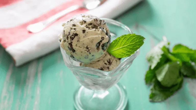 Best Premade Ice Cream Mix for Homemade Desserts 16 Premade Ice Cream Mix