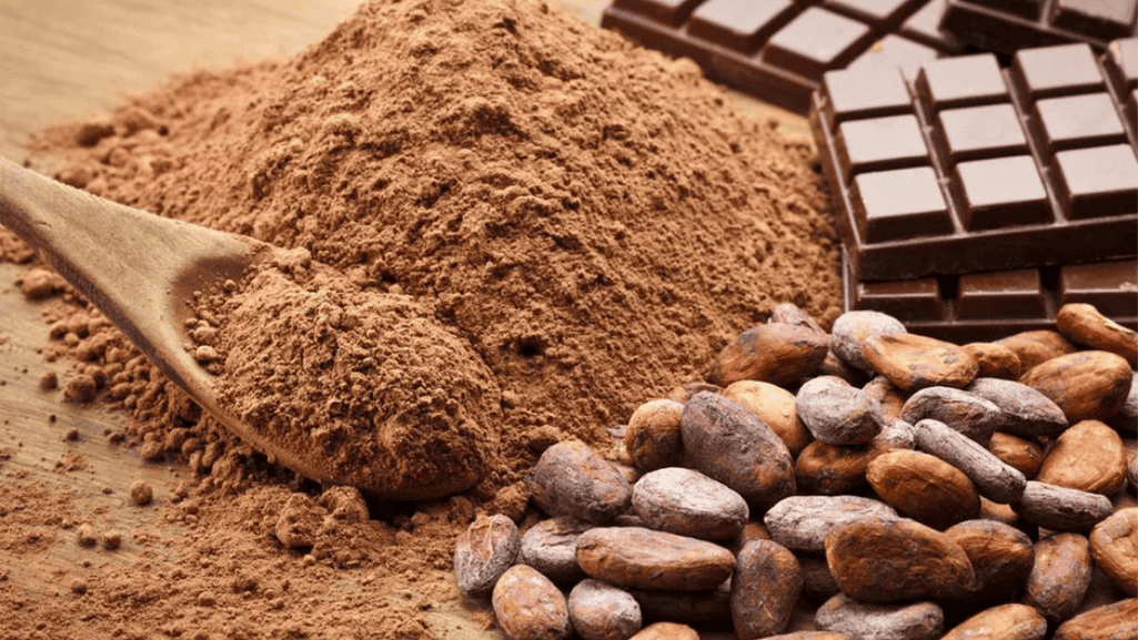 The Evolution of Chocolate Through the Centuries