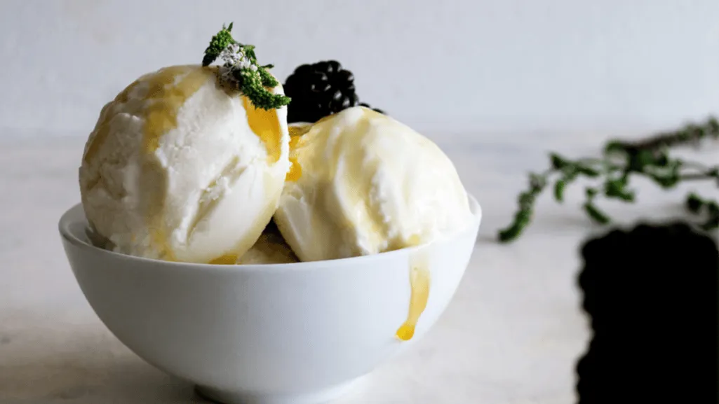 greek yogurt frozen yogurt ingredients