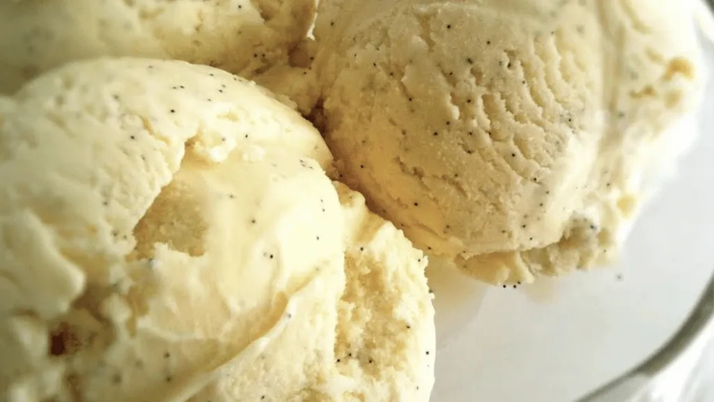 Simple Vanilla Ice Cream