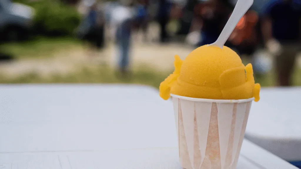 Frozen Mango Recipes Equipment You'll Need