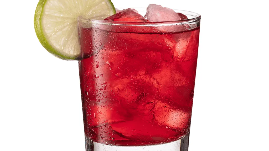 Recipe for Cranberry Ice Creative Serving Suggestions