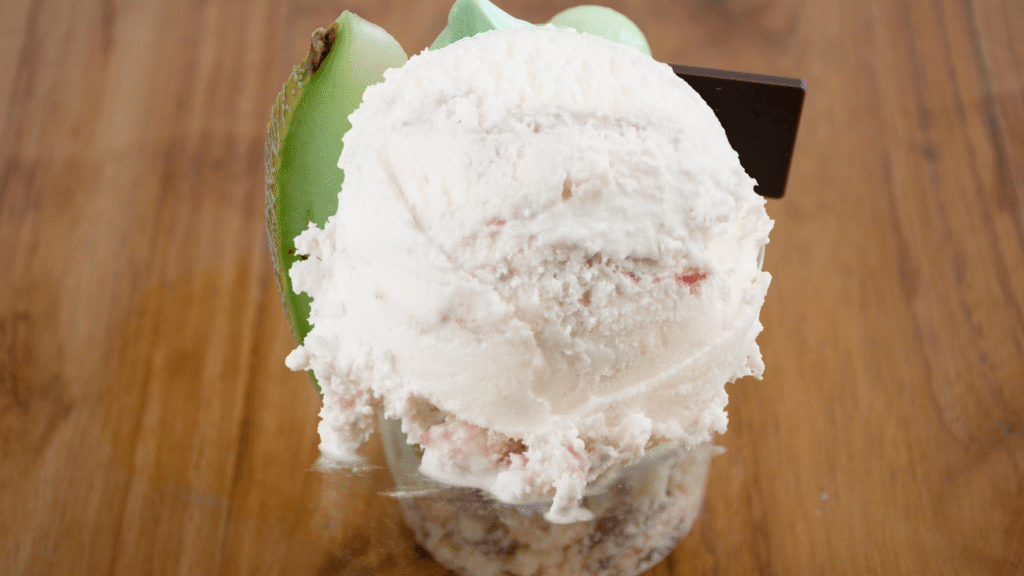Sweet Cream Ice Cream Expert Tips and Techniques for Perfect Texture