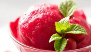 cranberry sorbet recipe
